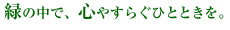 緑の中で、心やすらぐひとときを